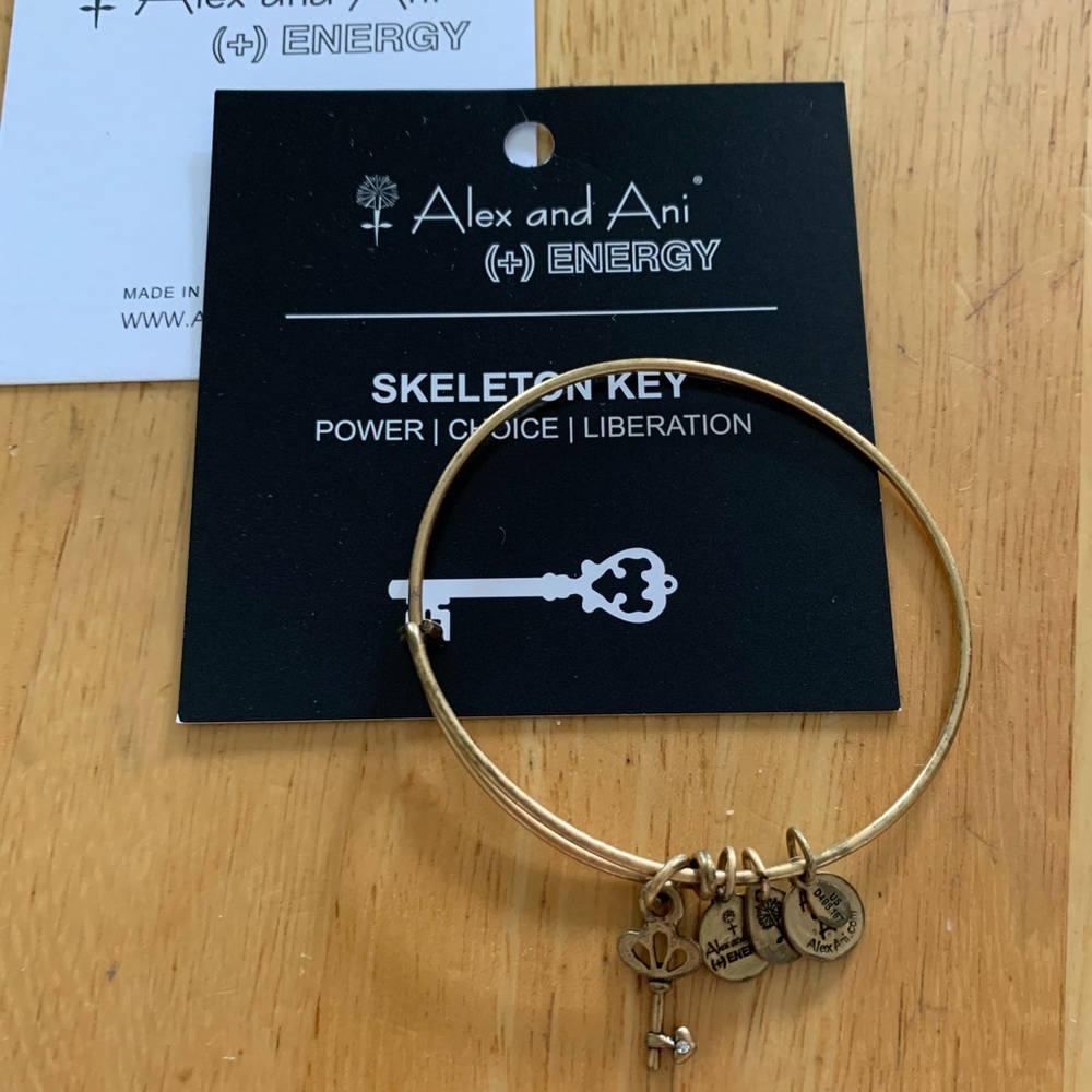 Alex & Ani Bracelet